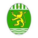 Logo FC Paradiso