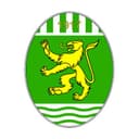 Logo FC Paradiso